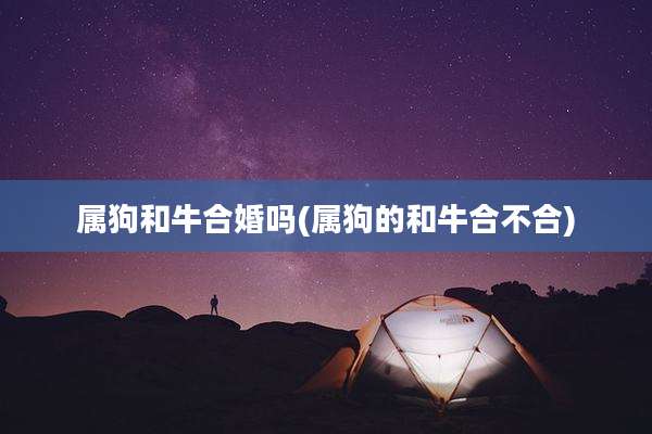 属狗和牛合婚吗(属狗的和牛合不合)