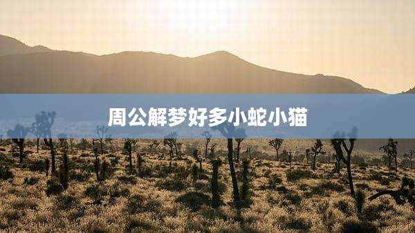 周公解梦好多小蛇小猫