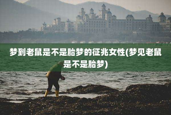 梦到老鼠是不是胎梦的征兆女性(梦见老鼠是不是胎梦)