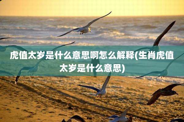 虎值太岁是什么意思啊怎么解释(生肖虎值太岁是什么意思)