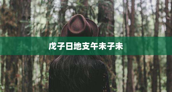 戊子日地支午未子未