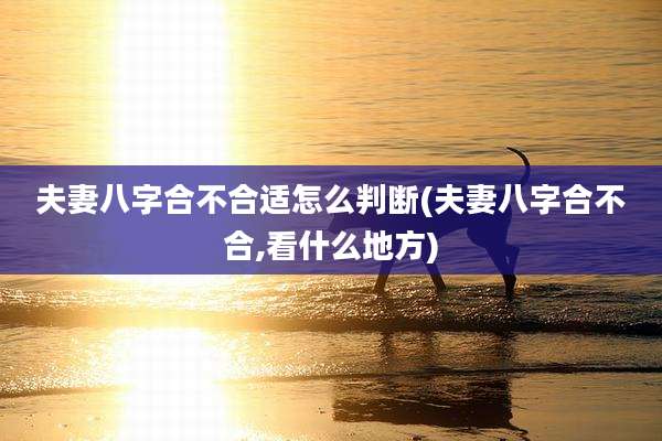 夫妻八字合不合适怎么判断(夫妻八字合不合,看什么地方)