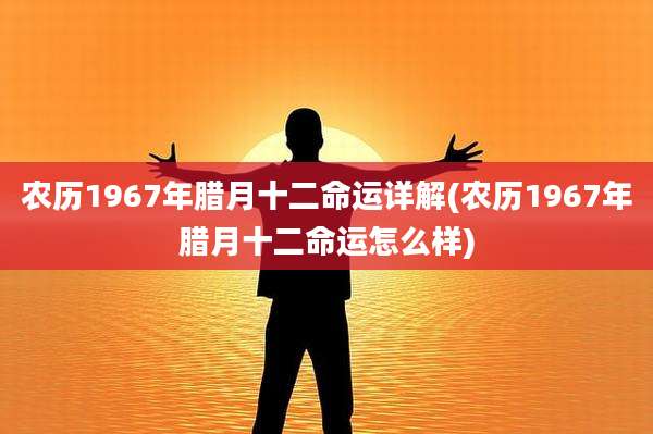 农历1967年腊月十二命运详解(农历1967年腊月十二命运怎么样)