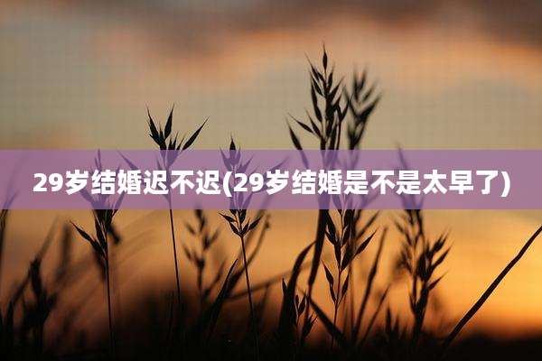 29岁结婚迟不迟(29岁结婚是不是太早了)