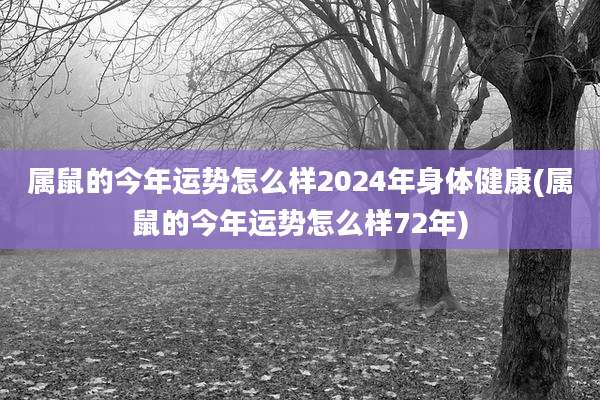 属鼠的今年运势怎么样2024年身体健康(属鼠的今年运势怎么样72年)