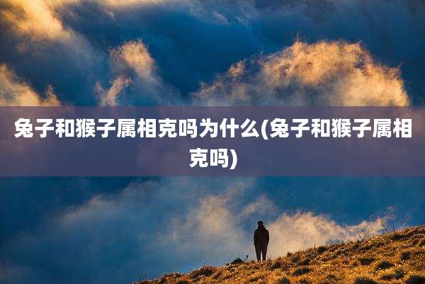 兔子和猴子属相克吗为什么(兔子和猴子属相克吗)