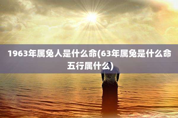 1963年属兔人是什么命(63年属兔是什么命 五行属什么)