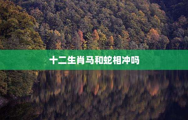 十二生肖马和蛇相冲吗