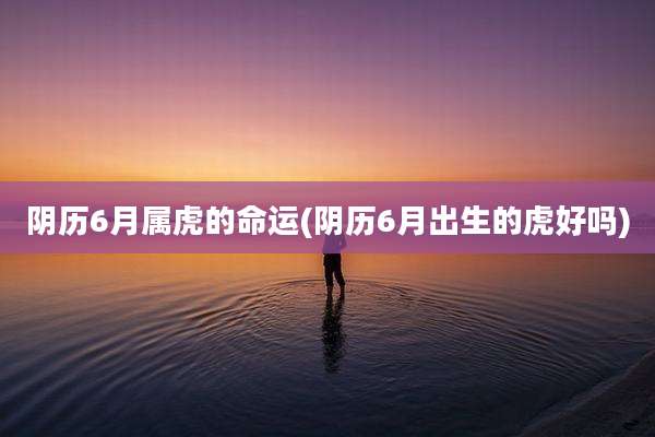 阴历6月属虎的命运(阴历6月出生的虎好吗)