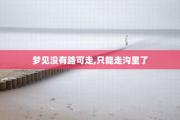 梦见没有路可走,只能走沟里了