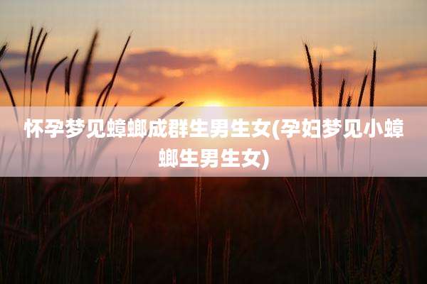 怀孕梦见蟑螂成群生男生女(孕妇梦见小蟑螂生男生女)