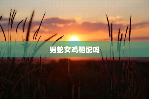 男蛇女鸡相配吗