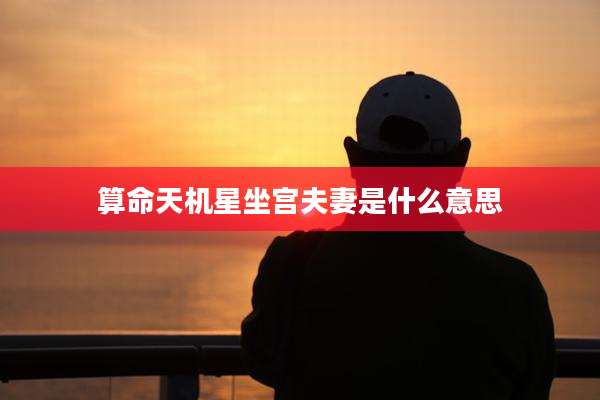 算命天机星坐宫夫妻是什么意思