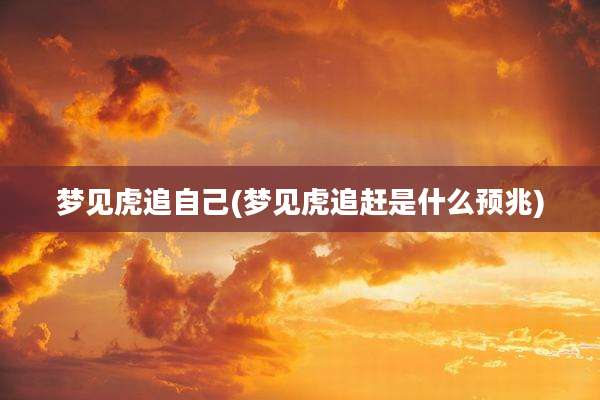 梦见虎追自己(梦见虎追赶是什么预兆)