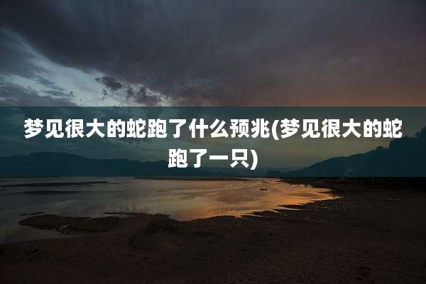 梦见很大的蛇跑了什么预兆(梦见很大的蛇跑了一只)