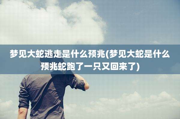 梦见大蛇逃走是什么预兆(梦见大蛇是什么预兆蛇跑了一只又回来了)