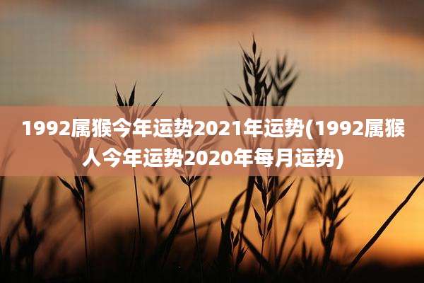 1992属猴今年运势2021年运势(1992属猴人今年运势2020年每月运势)