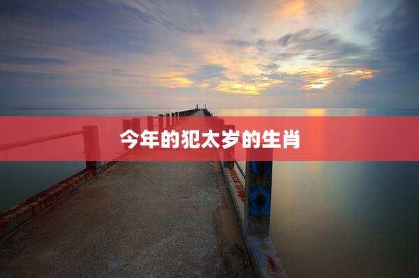 今年的犯太岁的生肖
