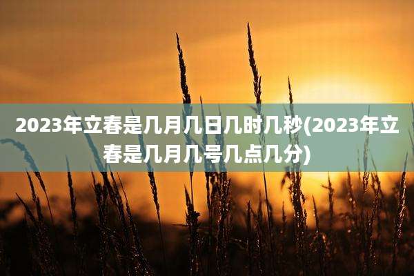 2023年立春是几月几日几时几秒(2023年立春是几月几号几点几分)