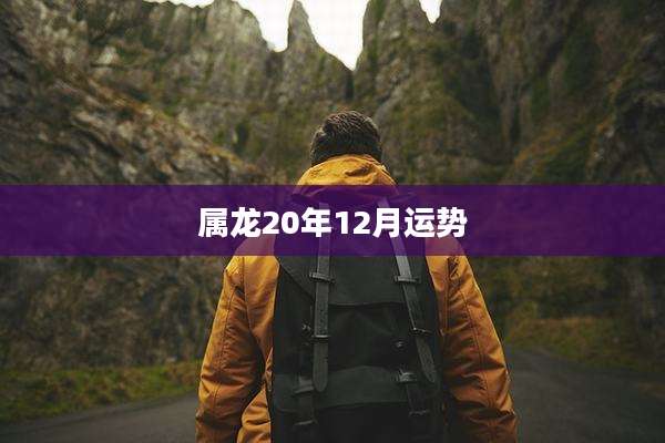 属龙20年12月运势