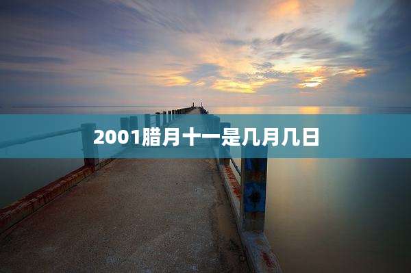 2001腊月十一是几月几日