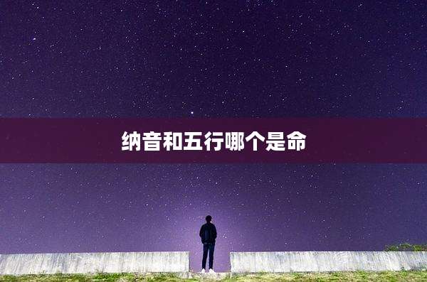 纳音和五行哪个是命