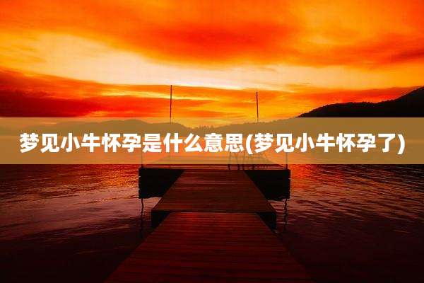 梦见小牛怀孕是什么意思(梦见小牛怀孕了)
