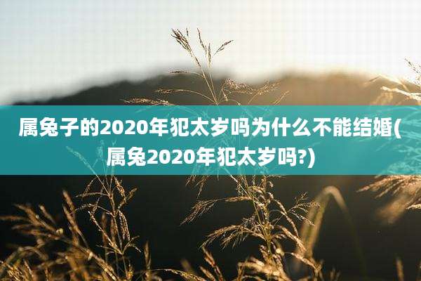 属兔子的2020年犯太岁吗为什么不能结婚(属兔2020年犯太岁吗?)