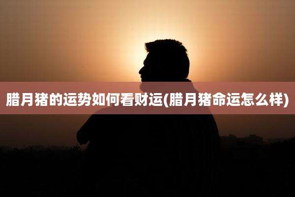 腊月猪的运势如何看财运(腊月猪命运怎么样)