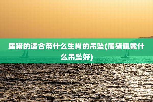 属猪的适合带什么生肖的吊坠(属猪佩戴什么吊坠好)