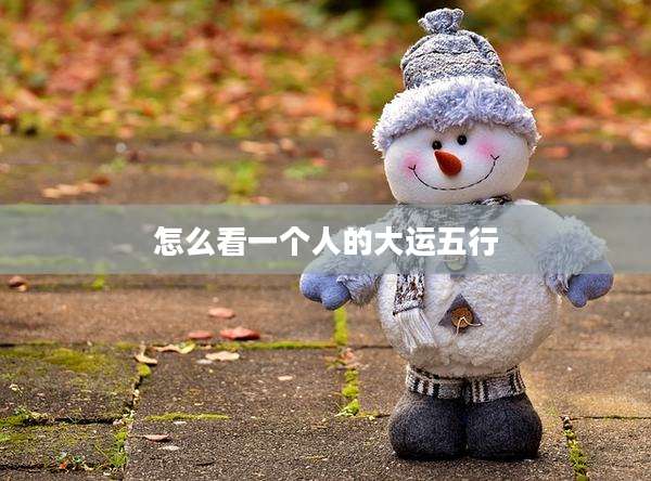 怎么看一个人的大运五行