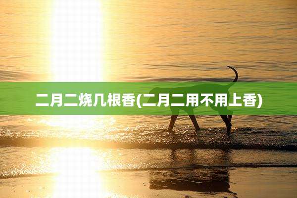 二月二烧几根香(二月二用不用上香)