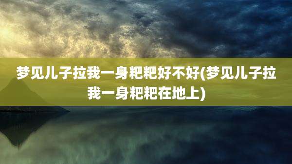 梦见儿子拉我一身粑粑好不好(梦见儿子拉我一身粑粑在地上)