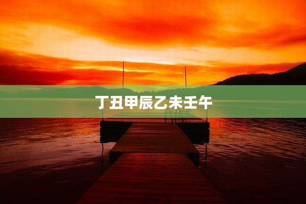 丁丑甲辰乙未壬午