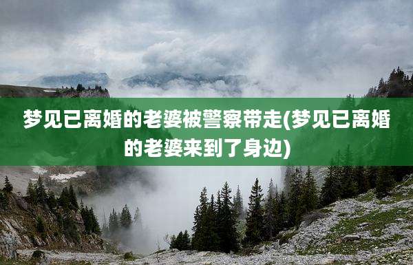 梦见已离婚的老婆被警察带走(梦见已离婚的老婆来到了身边)