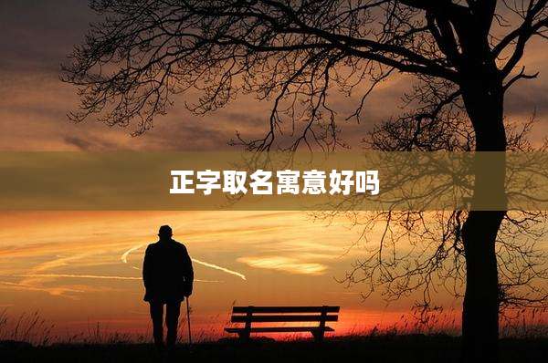 正字取名寓意好吗