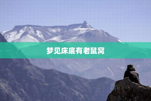 梦见床底有老鼠窝