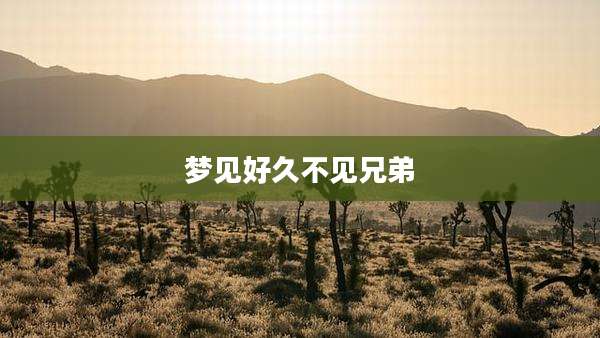 梦见好久不见兄弟