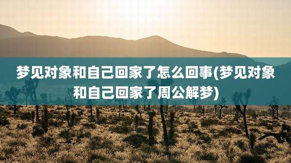 梦见对象和自己回家了怎么回事(梦见对象和自己回家了周公解梦)