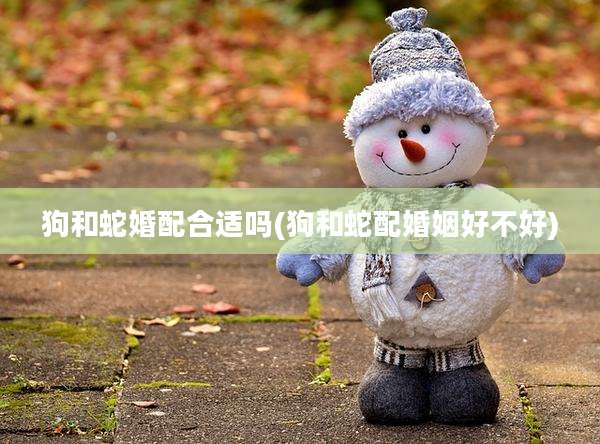 狗和蛇婚配合适吗(狗和蛇配婚姻好不好)