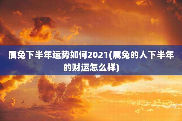 属兔下半年运势如何2021(属兔的人下半年的财运怎么样)