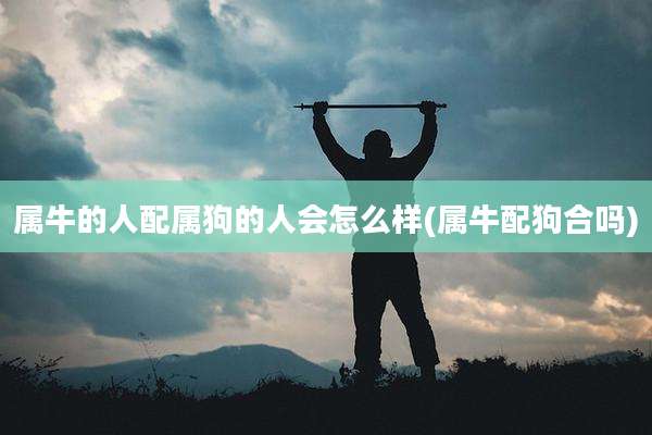属牛的人配属狗的人会怎么样(属牛配狗合吗)