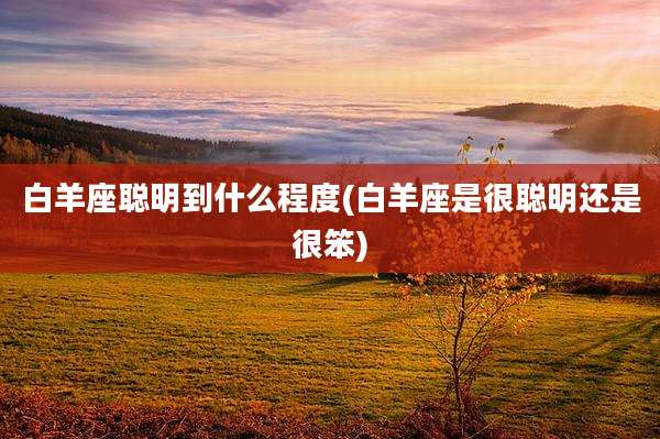 白羊座聪明到什么程度(白羊座是很聪明还是很笨)
