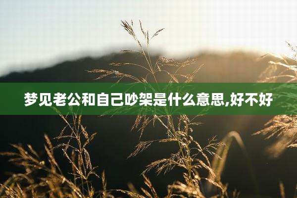 梦见老公和自己吵架是什么意思,好不好
