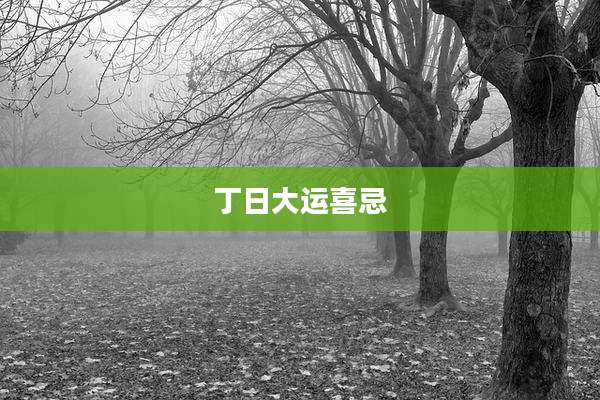 丁日大运喜忌