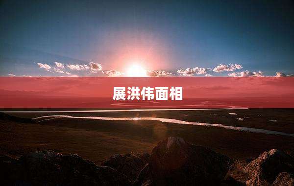 展洪伟面相