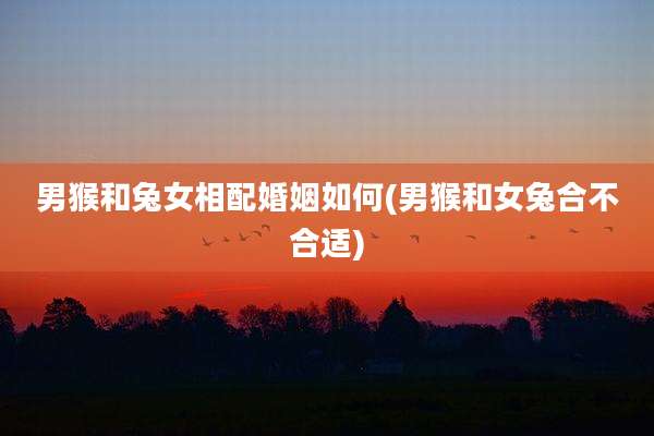 男猴和兔女相配婚姻如何(男猴和女兔合不合适)