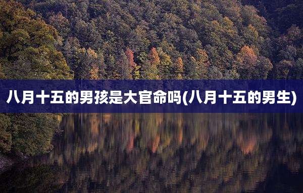 八月十五的男孩是大官命吗(八月十五的男生)