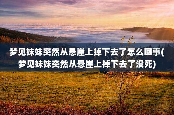 梦见妹妹突然从悬崖上掉下去了怎么回事(梦见妹妹突然从悬崖上掉下去了没死)
