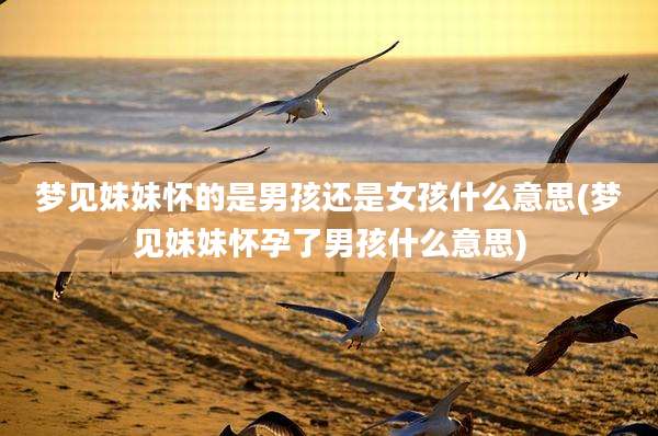 梦见妹妹怀的是男孩还是女孩什么意思(梦见妹妹怀孕了男孩什么意思)